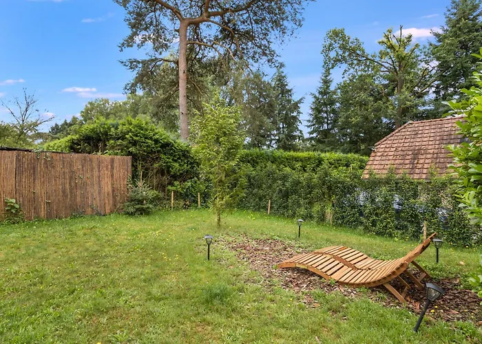 Comfortabel In Het Bos Op De Veluwe Vakantiehuis Lunteren