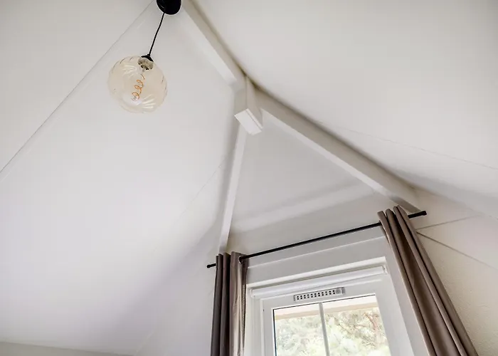 Vakantiehuis Comfortabel In Het Bos Op De Veluwe