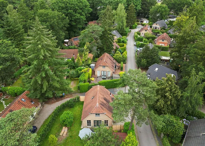 Comfortabel In Het Bos Op De Veluwe Lunteren