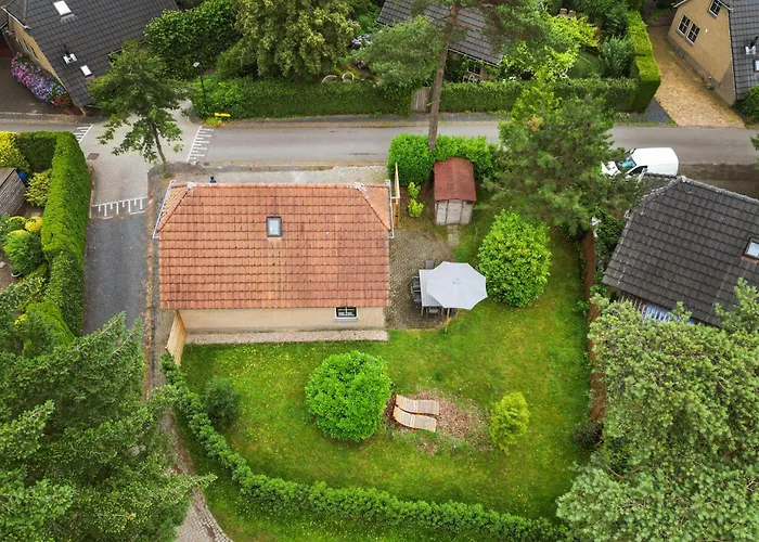 Comfortabel In Het Bos Op De Veluwe